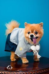 TP钱包(TokenPocket)钱包苹果版